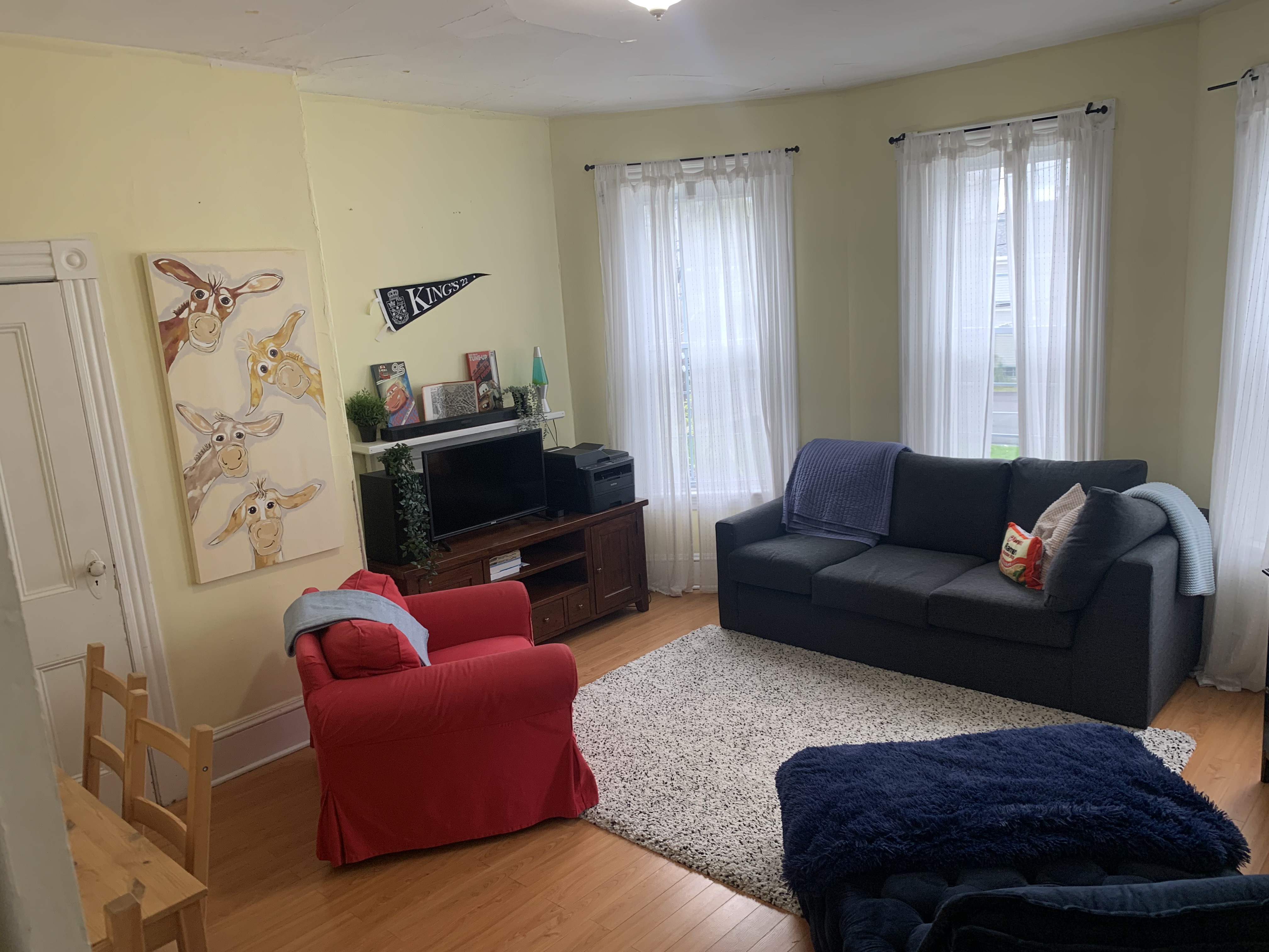 living room (old photo)